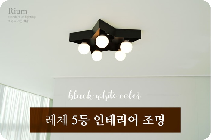 리움조명 이미지