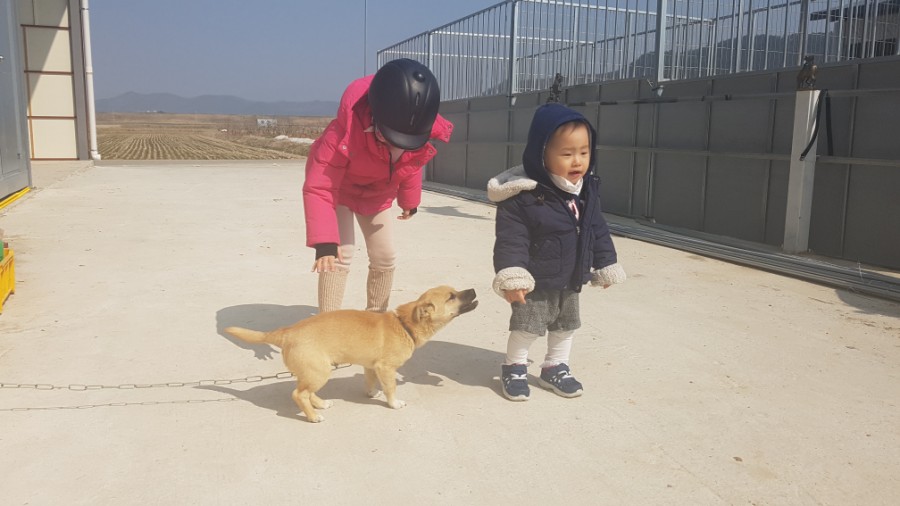 천지승마클럽 이미지