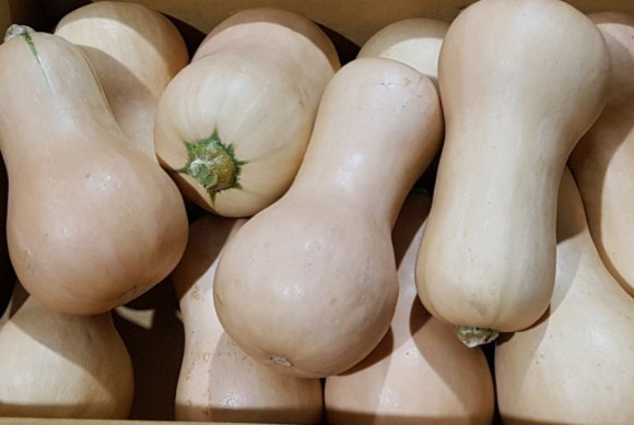 뚱이푸드 이미지
