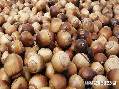 슬기둥도토리수제비 이미지