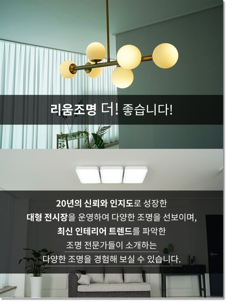리움조명 이미지
