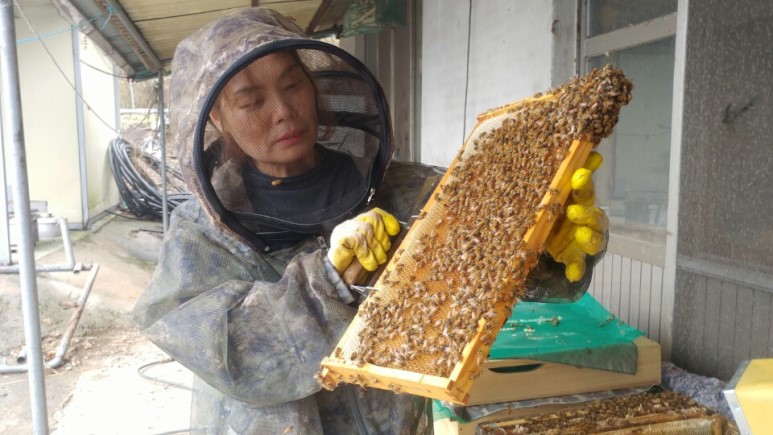 농부보따리 이미지