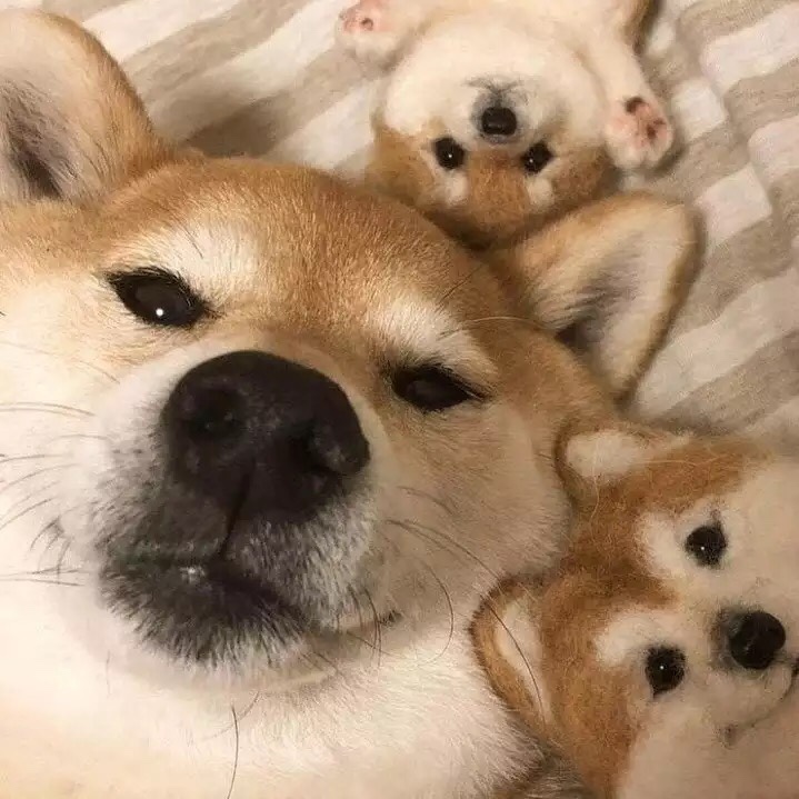 와타요업 이미지