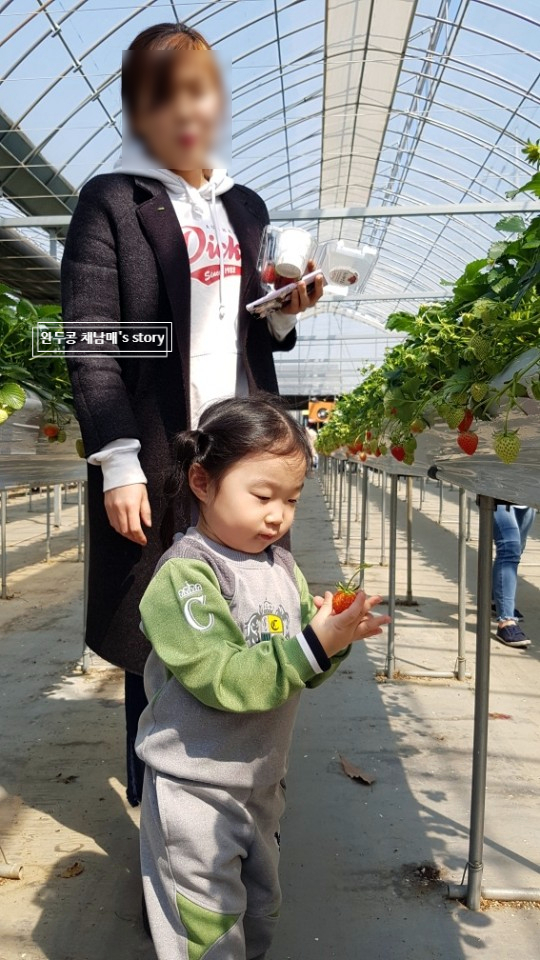 땡큐베리팜 이미지
