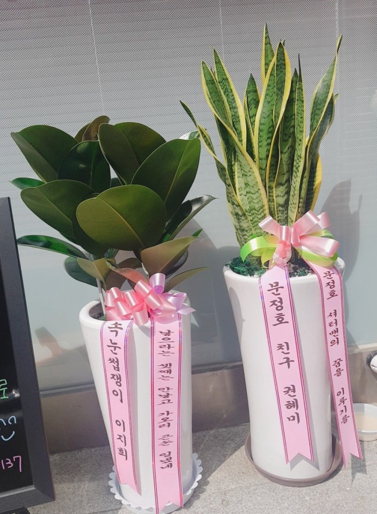 오늘도예쁘다 이미지