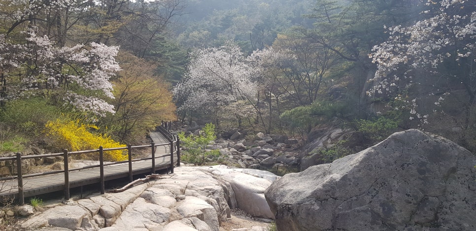 할머니두부정릉 이미지