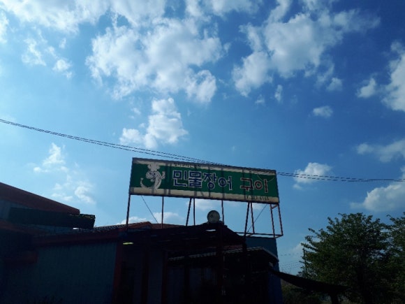 청도민물장어 이미지