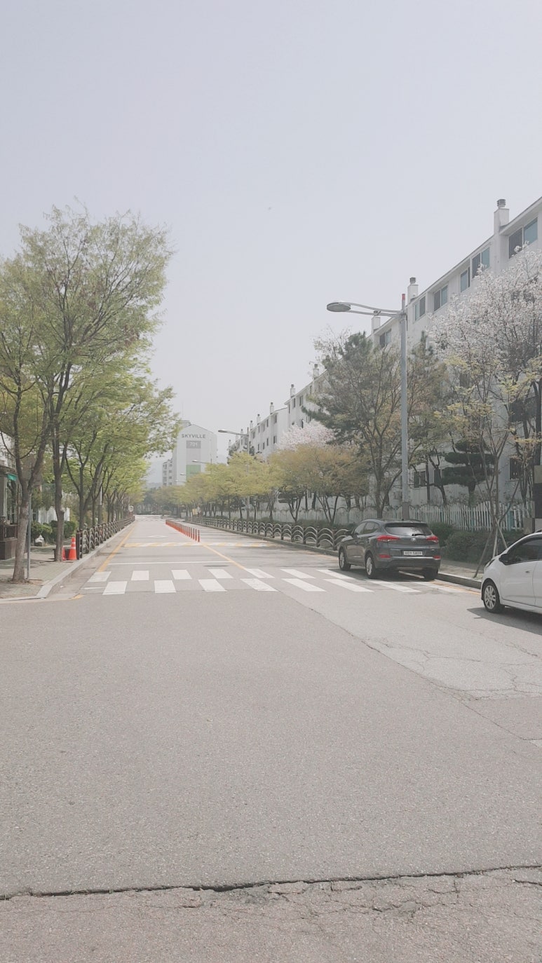 송가네한식뷔페 이미지