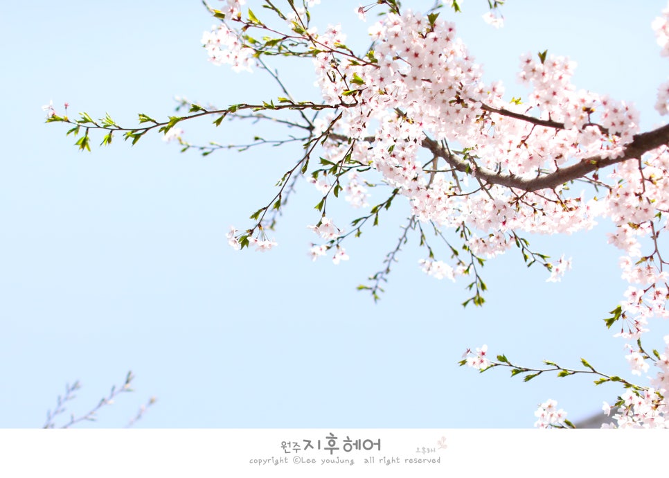 지후헤어 이미지