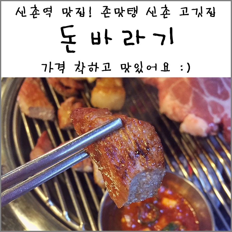 돈바라기 이미지