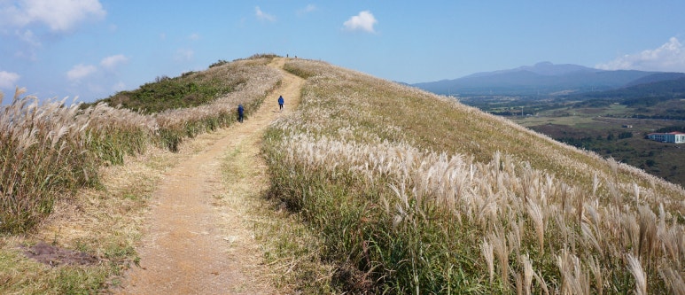 알음알음제주 이미지