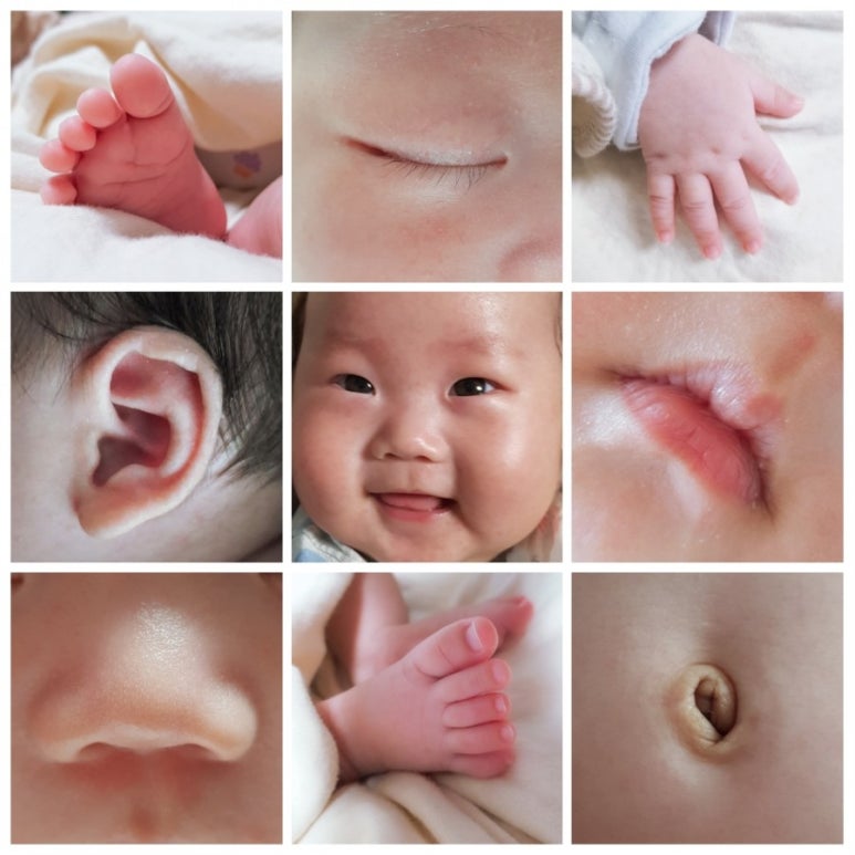 베이비꼬망 이미지