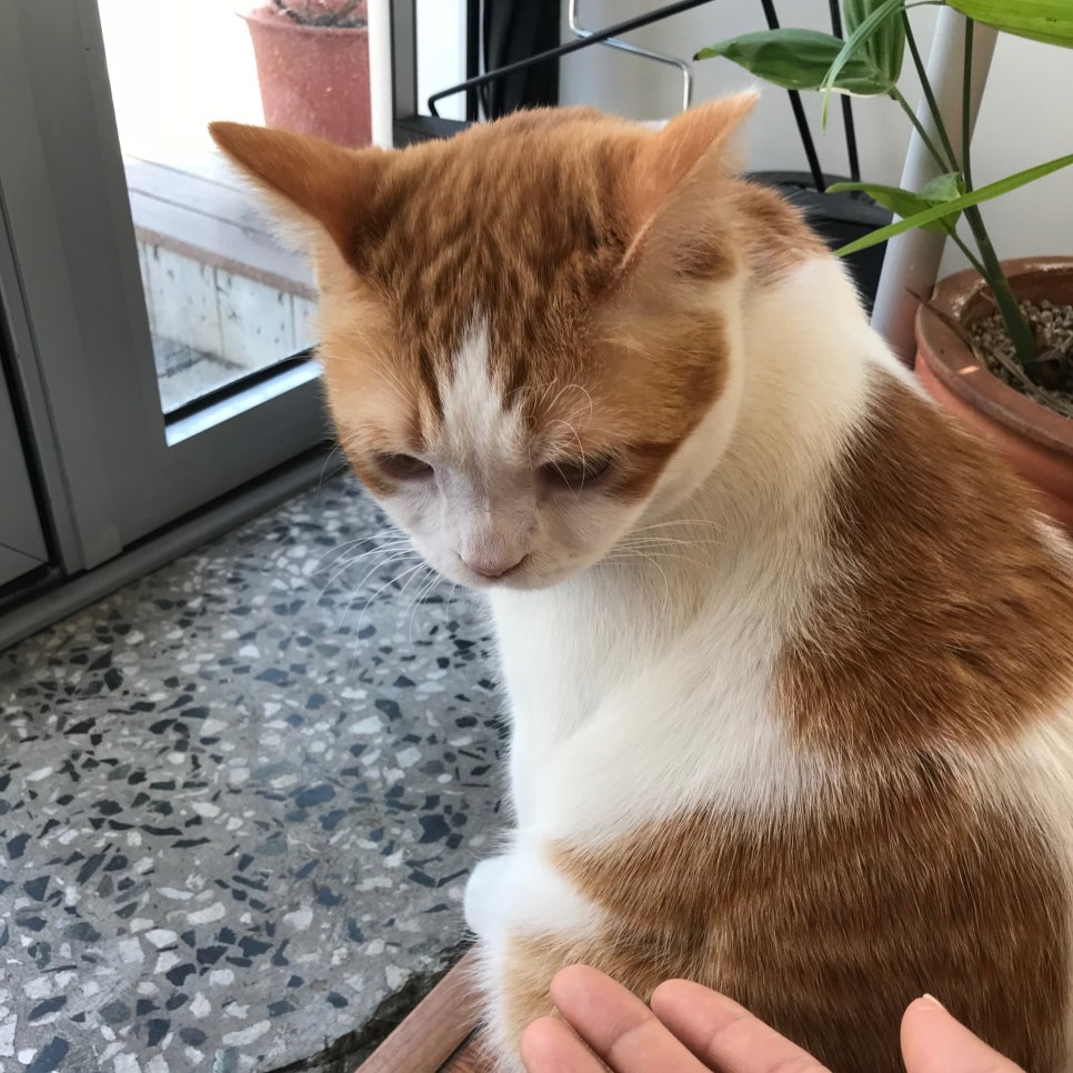 MUNE(무네) 이미지