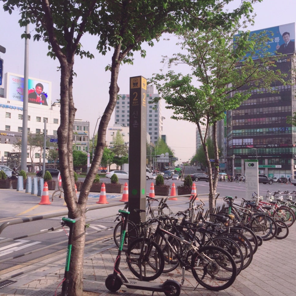 돈바라기 이미지
