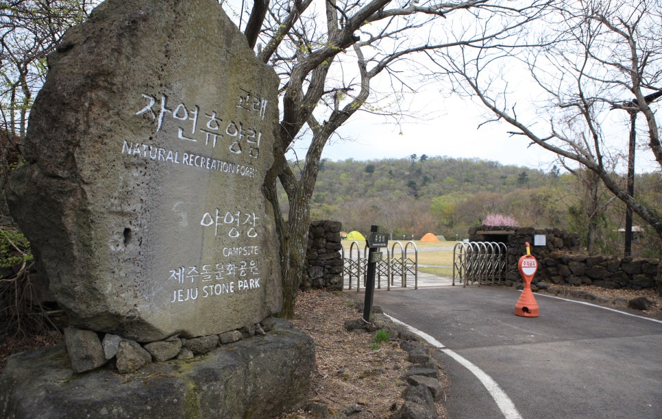 숲스토리야영장 이미지