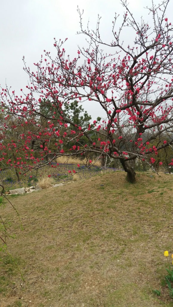 한솔레저개발 이미지