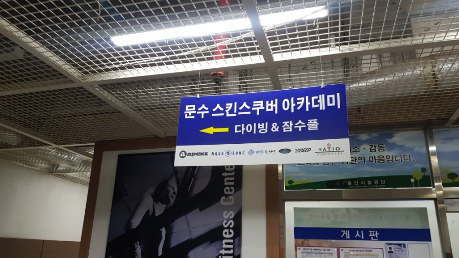 문수 스킨스쿠바 아카데미 이미지