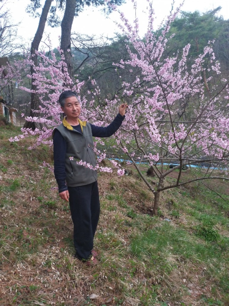 영월가나안농장 이미지