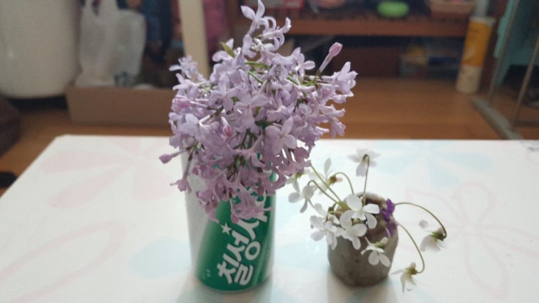 아루스튜디오 이미지