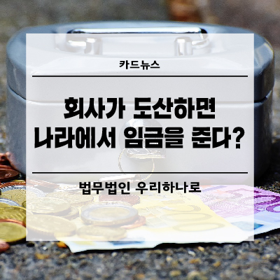 법무법인나라 이미지