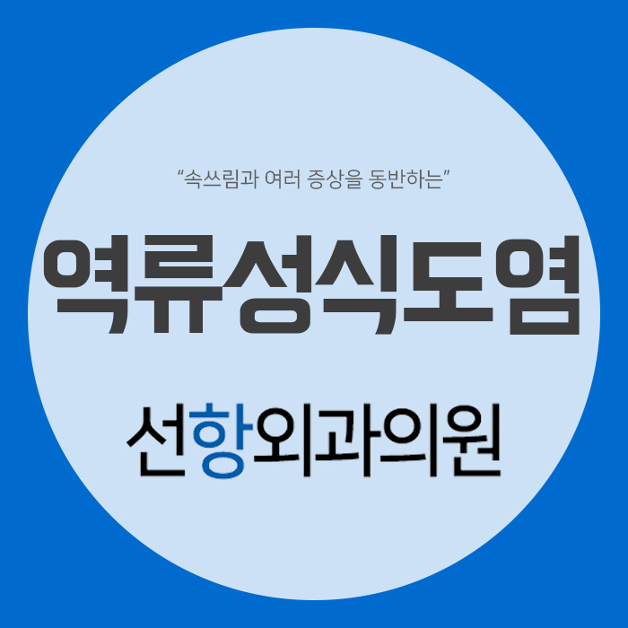 선항외과 이미지
