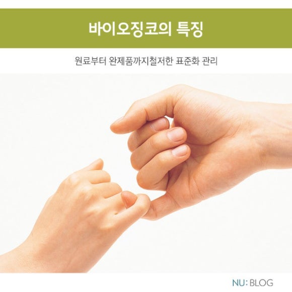 징코바이오 이미지
