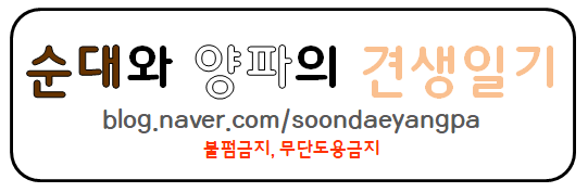 쉐프돼지 매탄인계점 이미지