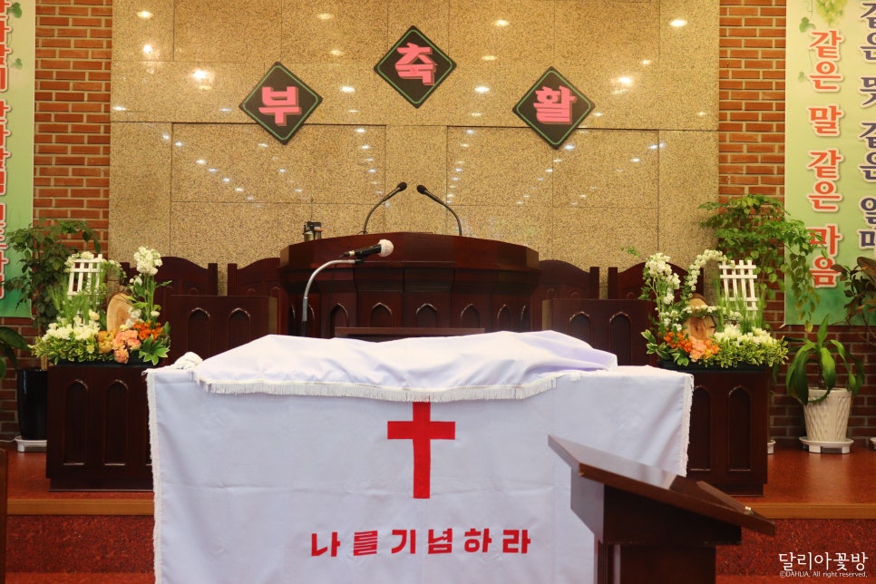 명성플라워 이미지