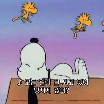 건양복사제본 이미지