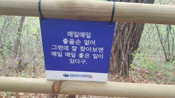숲속의 베리팜 이미지