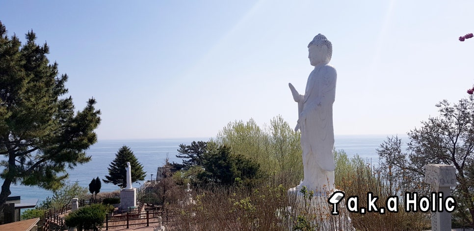사진생각혜윰 이미지