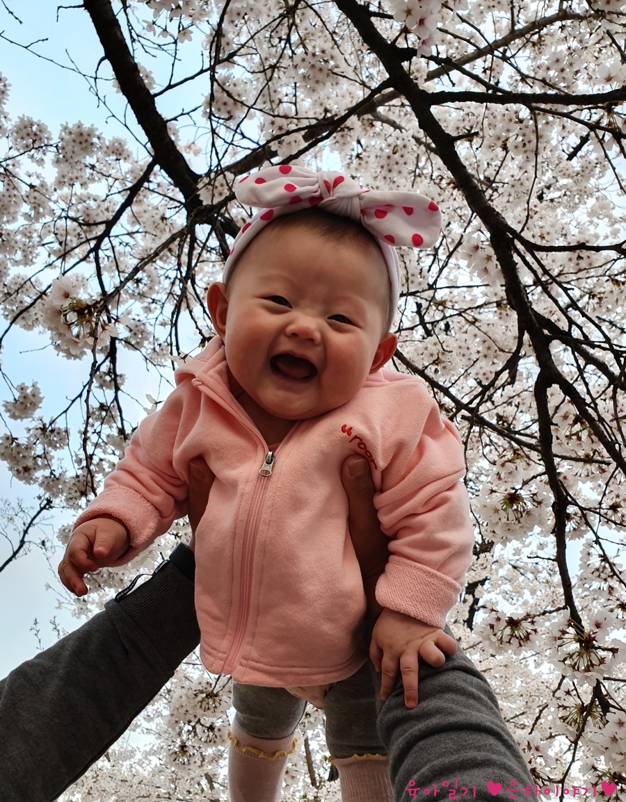 엄마의북꽃놀이 이미지