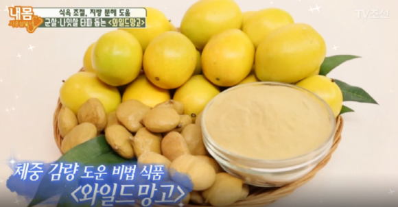 와일드컴퓨터 이미지