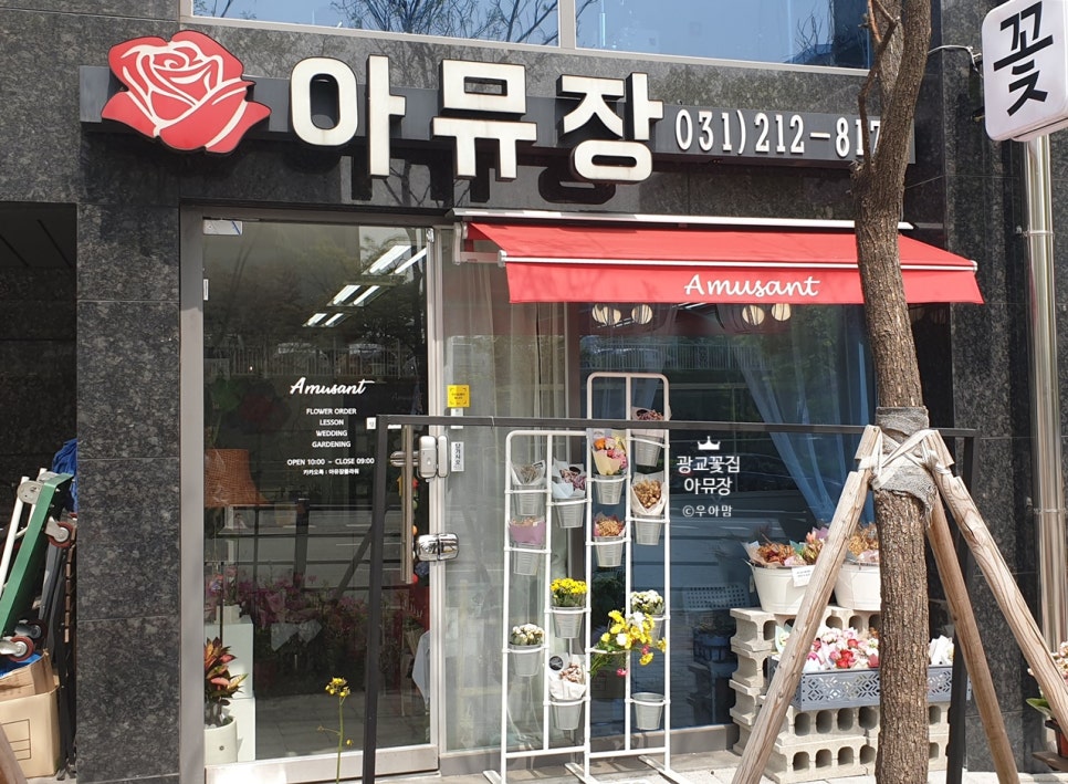 아뮤장 이미지