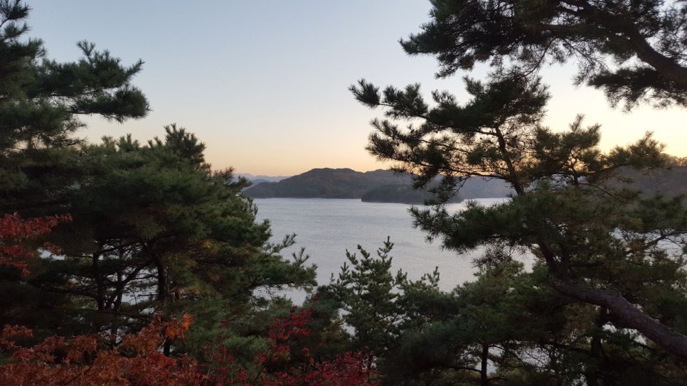 어물이야기 이미지