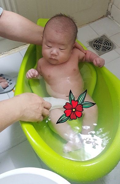 봄빛도우미 이미지
