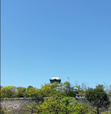 국제학원 이미지