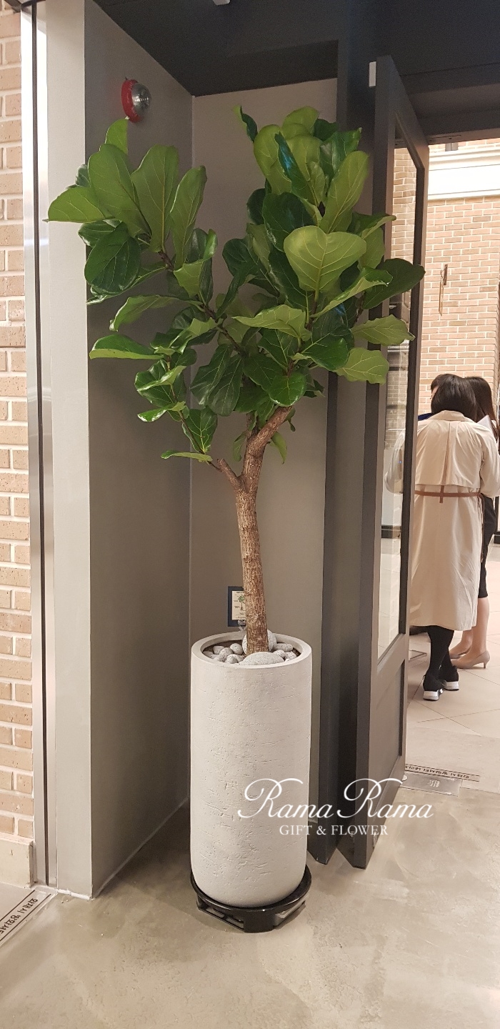 라마커피랩 이미지