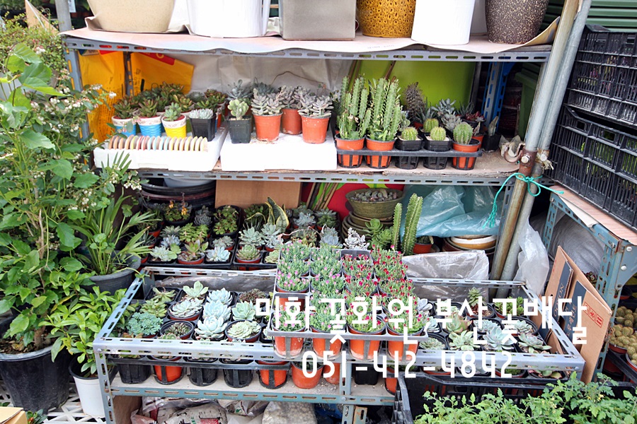 미화화원 이미지