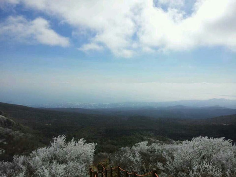 세승 이미지