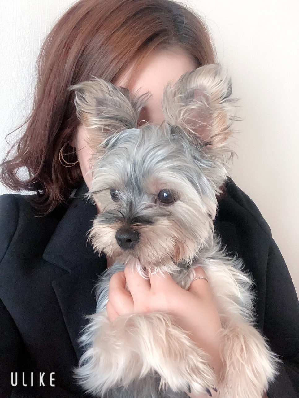 네일설레다 이미지