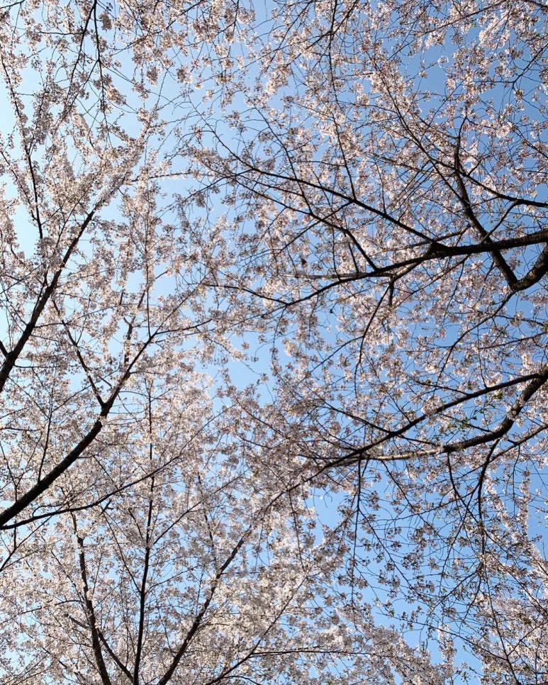 한예종영재발레학원 이미지
