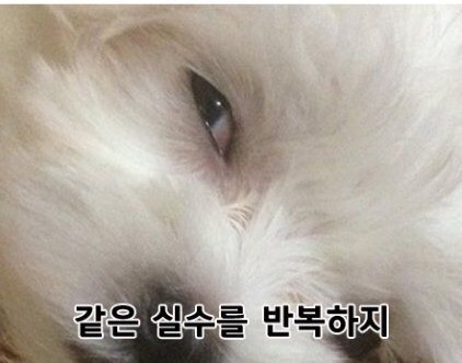 모짜르트하우스 이미지