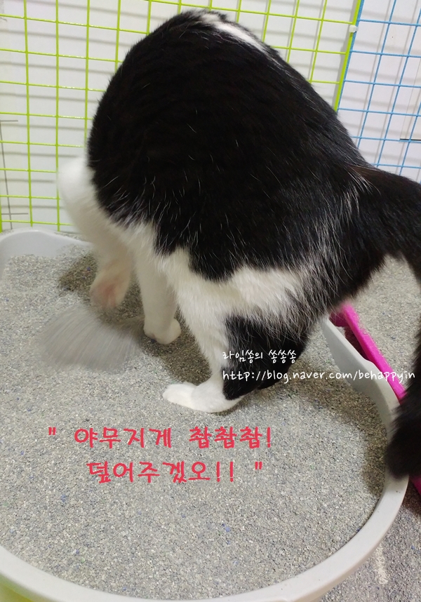 상상크린 이미지