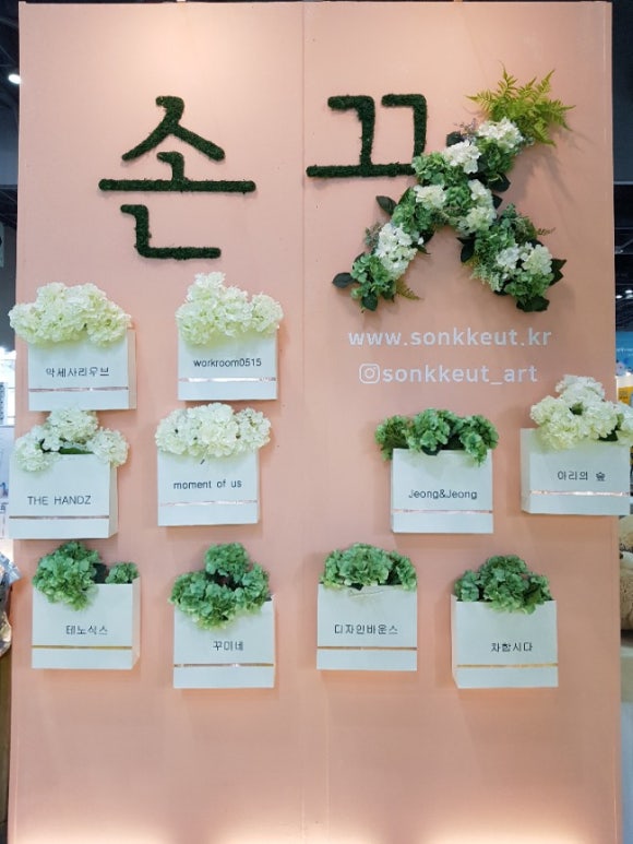 테노식스 이미지