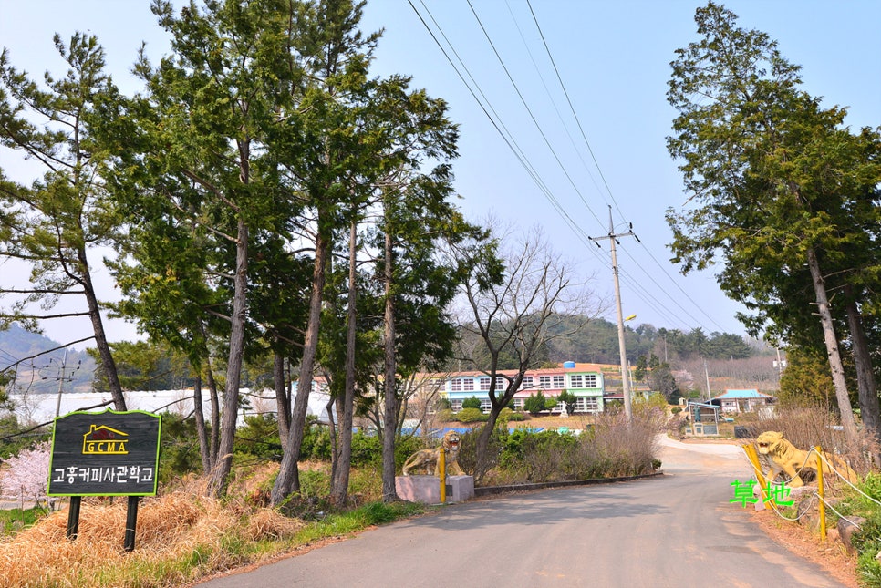 커피사관학교 이미지