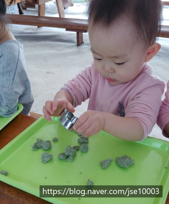 참창의숲 이미지