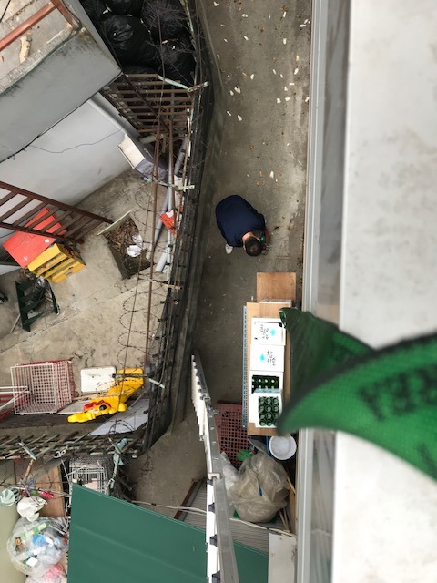 가람ENG 이미지