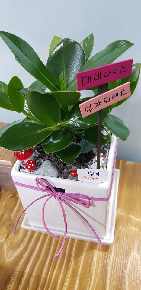 조치원치킨 이미지