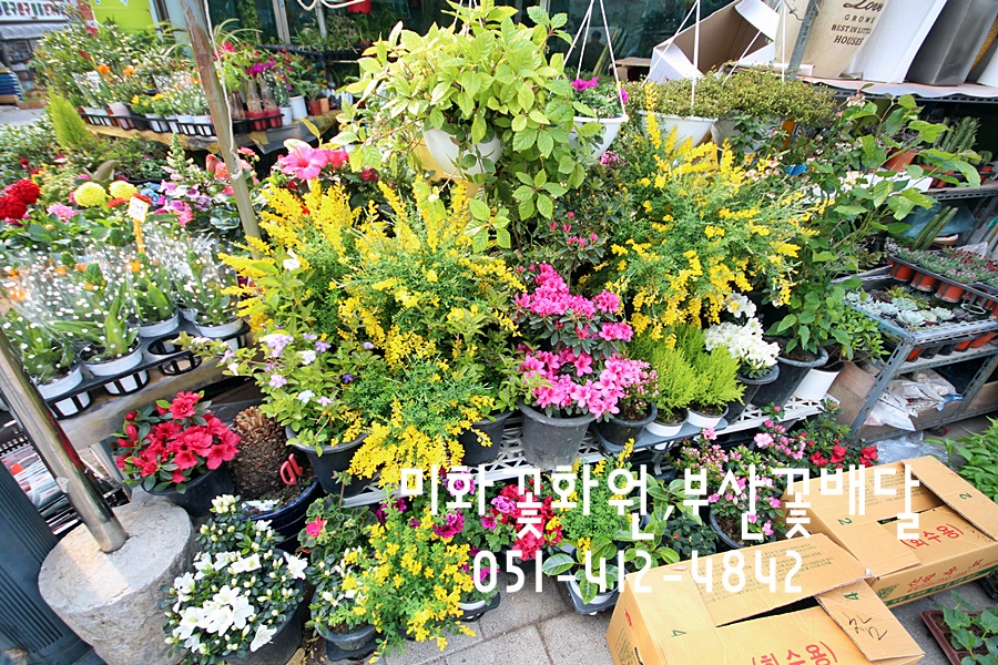 미화화원 이미지